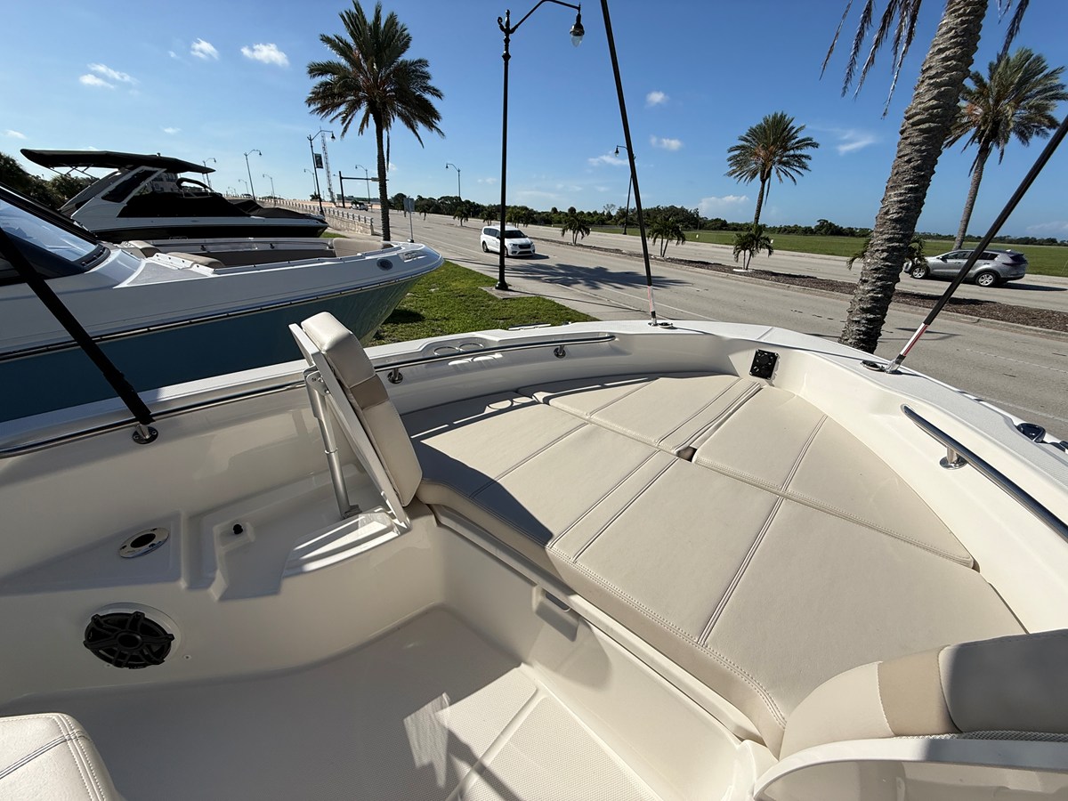 2027 Boston Whaler 250 Dauntless 11