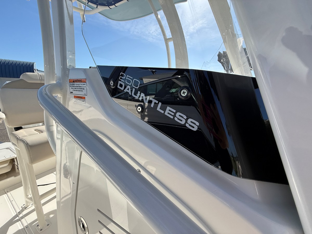 2027 Boston Whaler 250 Dauntless 18