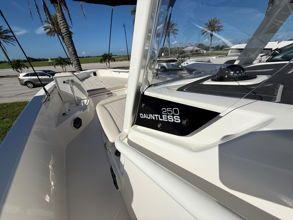 2027 Boston Whaler 250 Dauntless 29