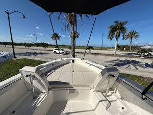 2027 Boston Whaler 250 Dauntless 10