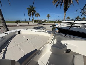 2027 Boston Whaler 250 Dauntless 12