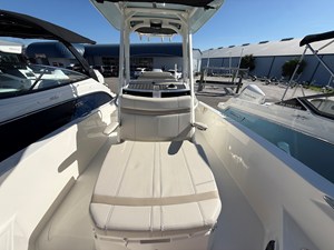 2027 Boston Whaler 250 Dauntless 14