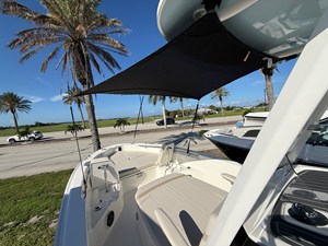 2027 Boston Whaler 250 Dauntless 15