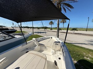 2027 Boston Whaler 250 Dauntless 17