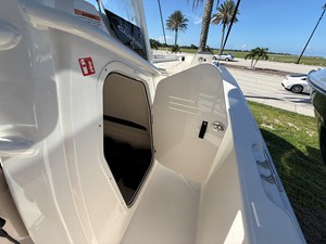 2027 Boston Whaler 250 Dauntless 20