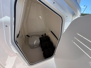 2027 Boston Whaler 250 Dauntless 21