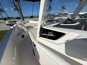 2027 Boston Whaler 250 Dauntless 29