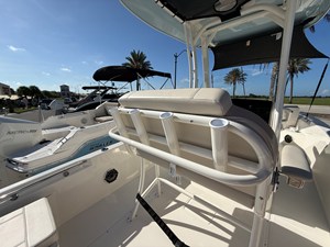 2027 Boston Whaler 250 Dauntless 30