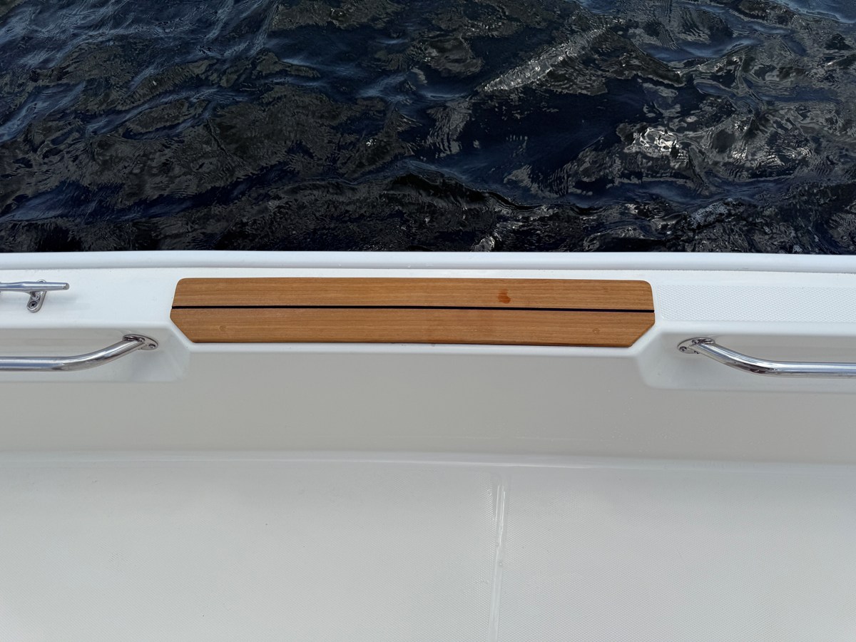 2027 Boston Whaler 210 Montauk 19