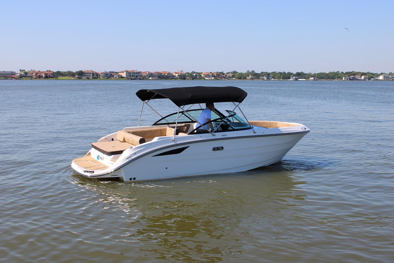 2026 Sea Ray SDX 230 12