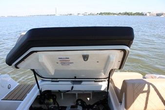 2026 Sea Ray SDX 230 35