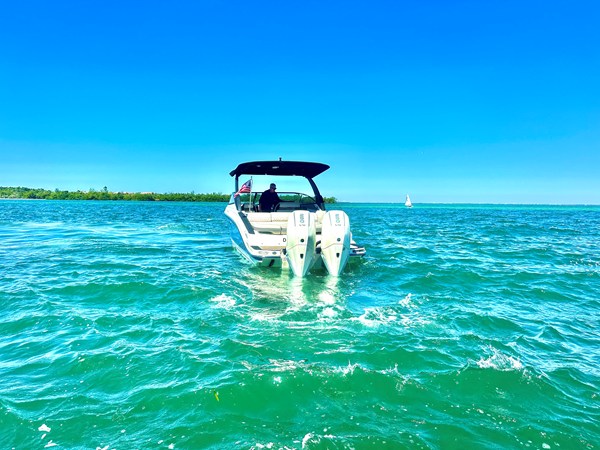 2025 Sea Ray SLX 280 OUTBOARD 6