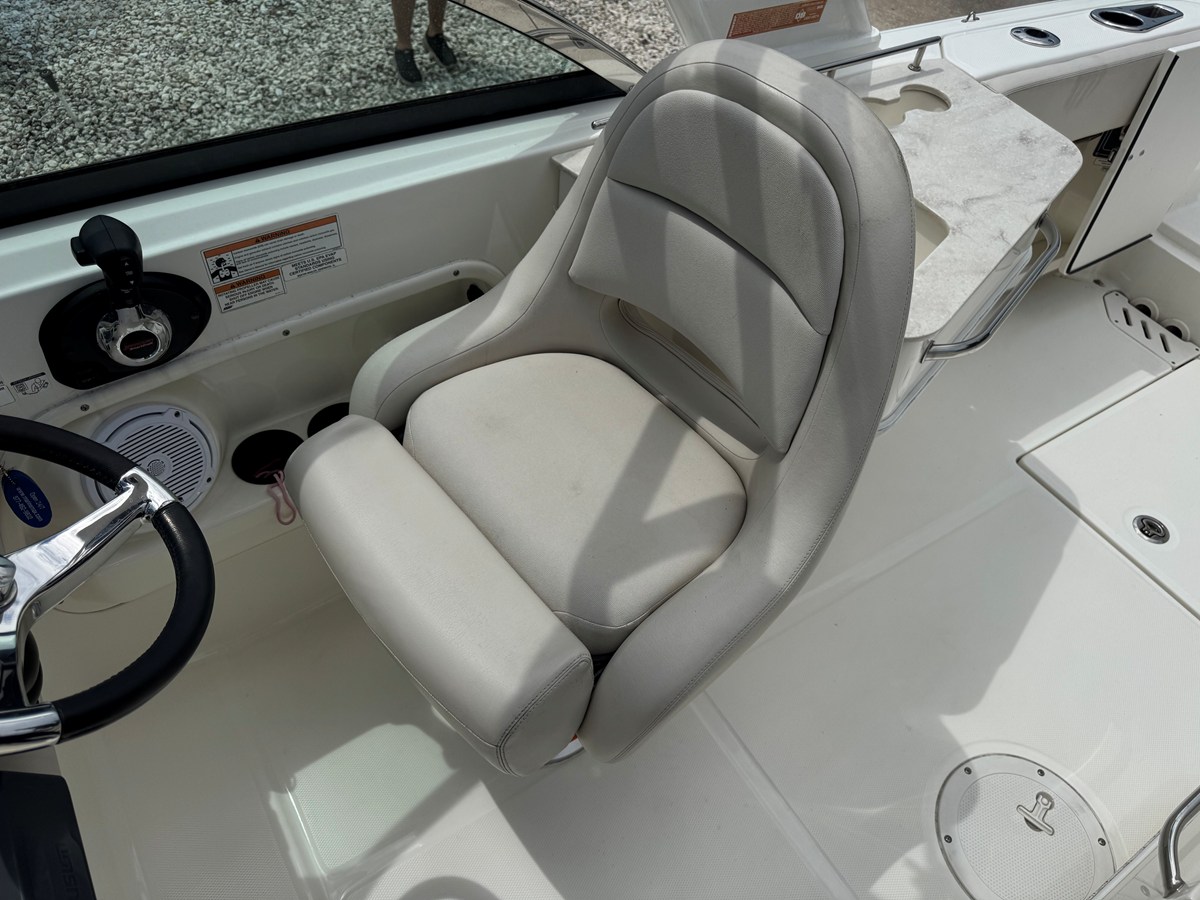 2017 Boston Whaler 230 VANTAGE 17