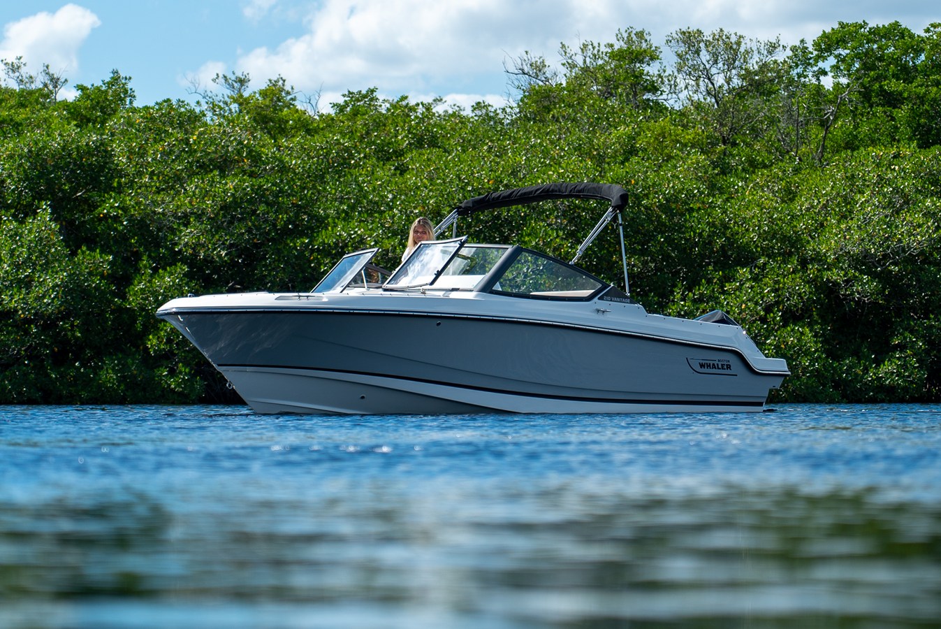 2026 Boston Whaler 210 Vantage 3