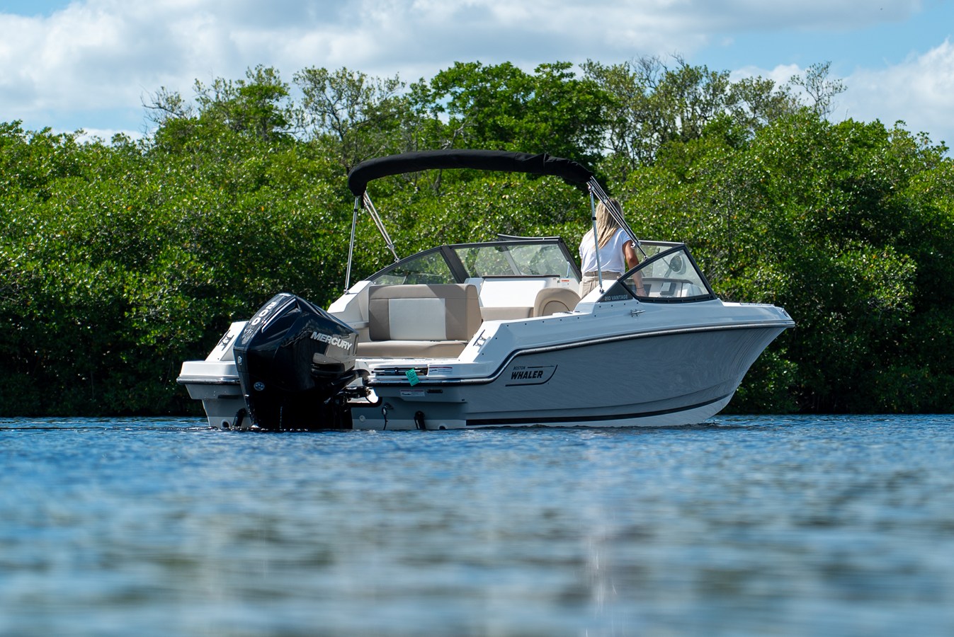 2026 Boston Whaler 210 Vantage 4