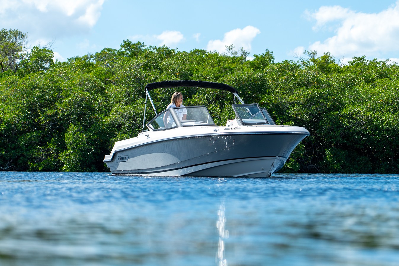 2026 Boston Whaler 210 Vantage 21