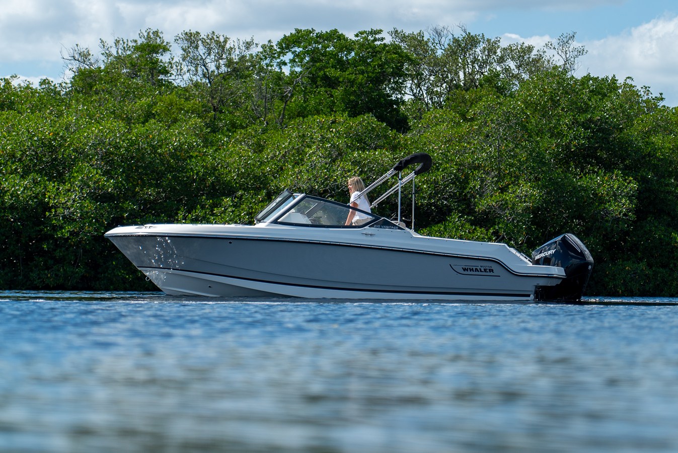 2026 Boston Whaler 210 Vantage 27