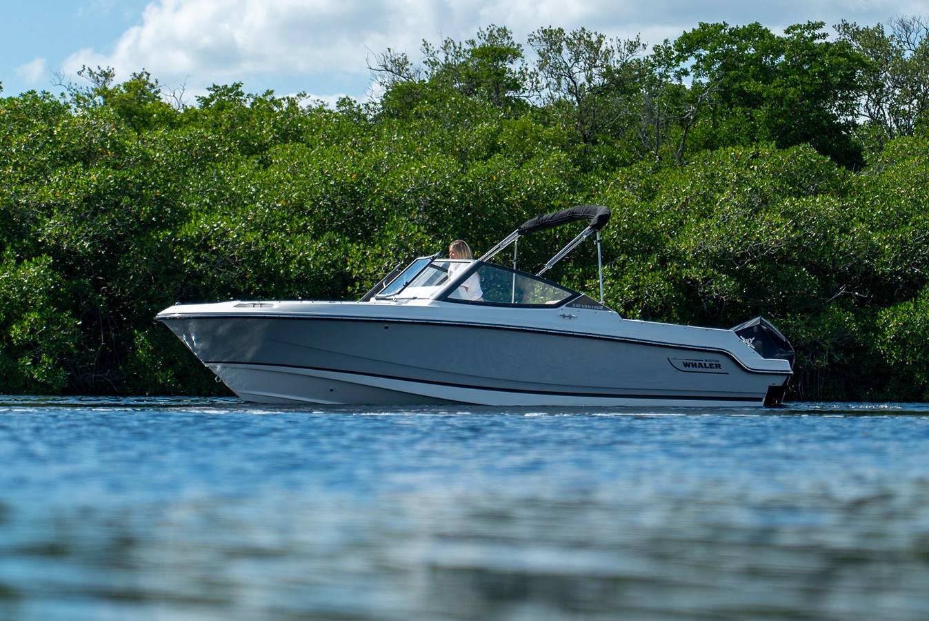 2026 Boston Whaler 210 Vantage 28