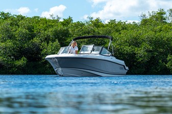 2026 Boston Whaler 210 Vantage 19