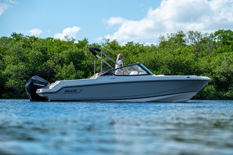 2026 Boston Whaler 210 Vantage 22