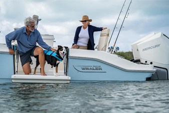 Boston Whaler 280 Dauntless 16 2024 Boston Whaler 280 Dauntless 17