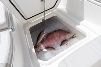 Boston Whaler 280 Dauntless 70 2024 Boston Whaler 280 Dauntless 71