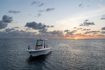 Boston Whaler 280 Dauntless 73 2024 Boston Whaler 280 Dauntless 74