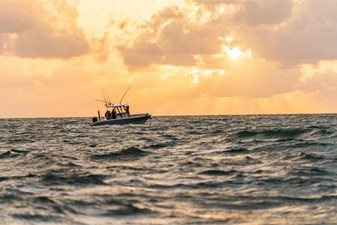 Boston Whaler 280 Dauntless 106 2024 Boston Whaler 280 Dauntless 107