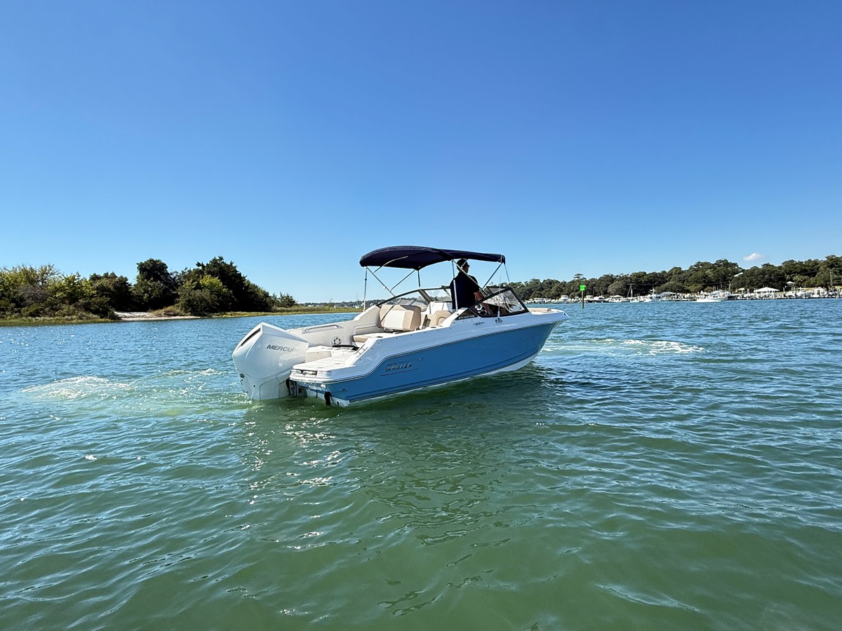 2027 Boston Whaler 210 Vantage 4