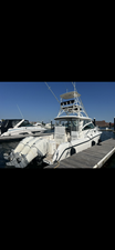 Boston Whaler 345 CONQUEST 4 2017 Boston Whaler 345 CONQUEST 5