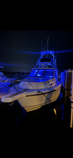 Boston Whaler 345 CONQUEST 7 2017 Boston Whaler 345 CONQUEST 8