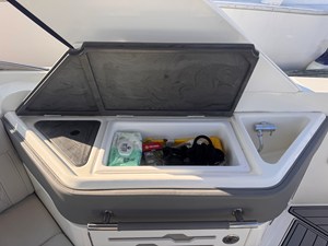 Sea Ray 310 SLX OB 12 2020 Sea Ray 310 SLX OB 13