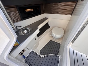 Sea Ray 310 SLX OB 19 2020 Sea Ray 310 SLX OB 20