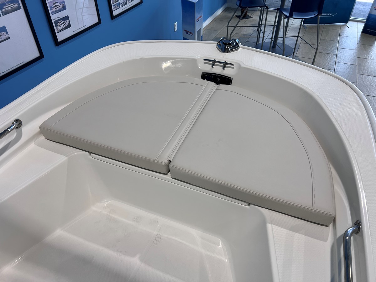 2027 Boston Whaler 150 Montauk 11