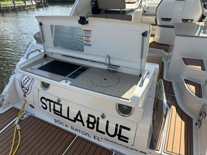 Sea Ray 350 SUNDANCER 11 2017 Sea Ray 350 SUNDANCER 12