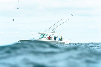 Boston Whaler 330 Outrage 22 2027 Boston Whaler 330 Outrage 23