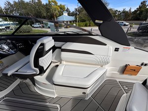 2026 Sea Ray SLX 260 Outboard 17