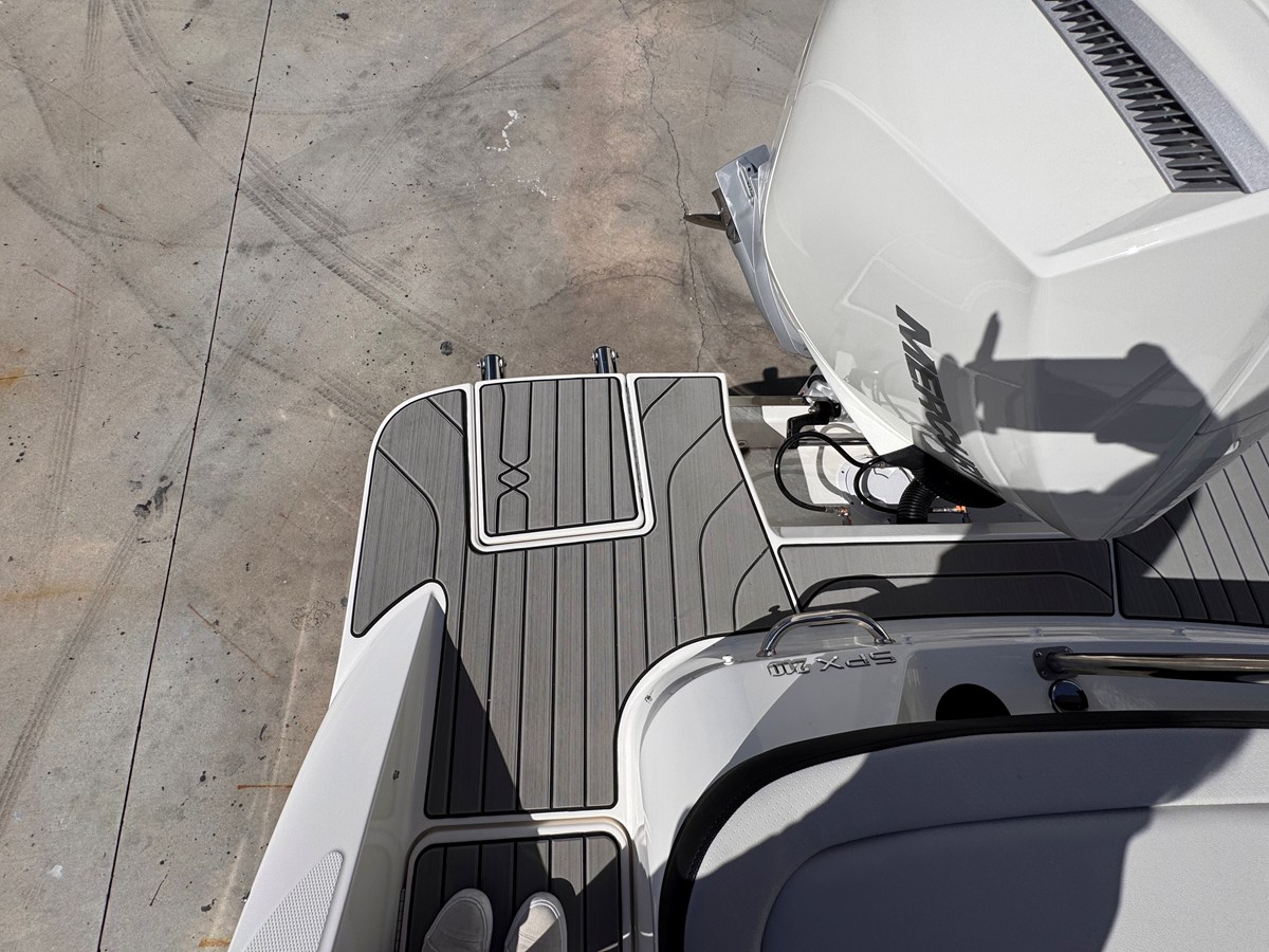 2026 Sea Ray SPX 210 Outboard 6