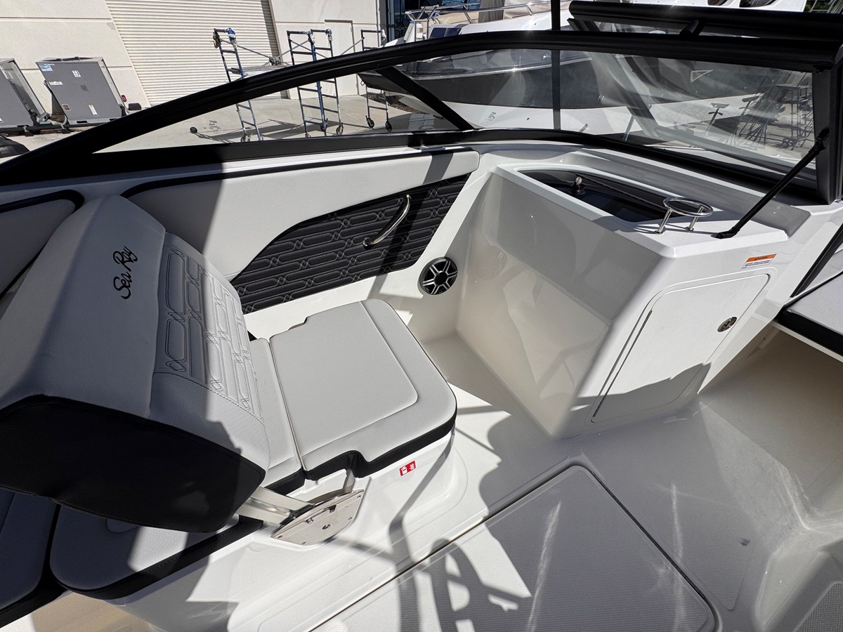 2026 Sea Ray SPX 210 Outboard 10