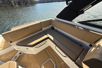 2026 Sea Ray SDX 250 Surf 12