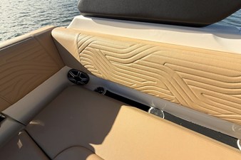 2026 Sea Ray SDX 250 Surf 13