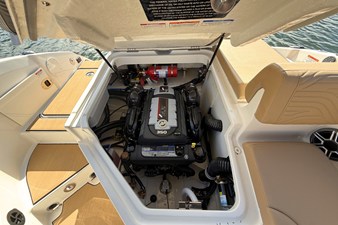 2026 Sea Ray SDX 250 Surf 14