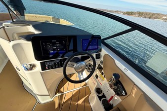 2026 Sea Ray SDX 250 Surf 18