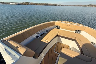 2026 Sea Ray SDX 250 Surf 29