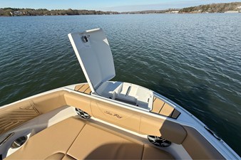 2026 Sea Ray SDX 250 Surf 31