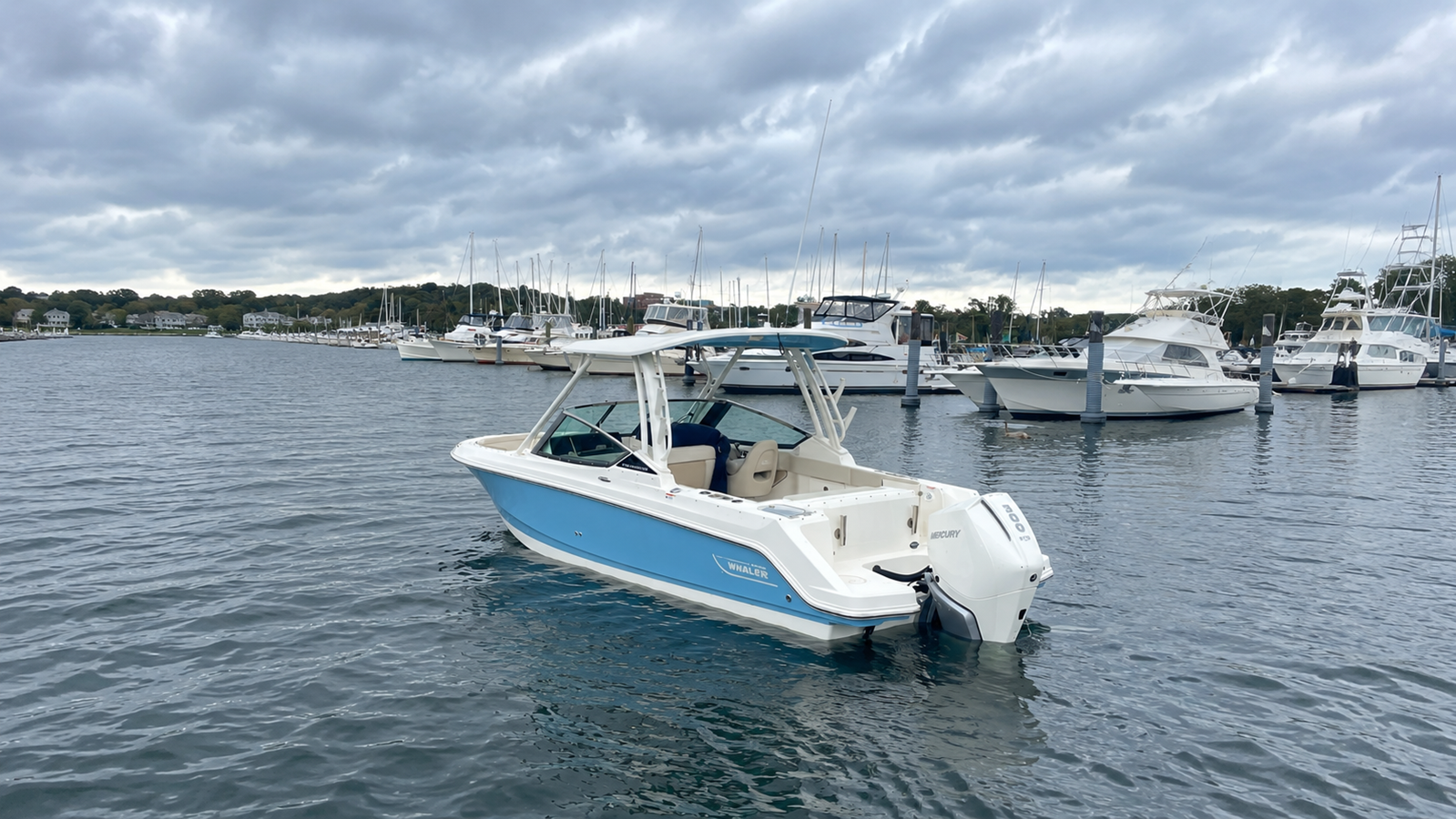 2026 Boston Whaler 240 Vantage 3