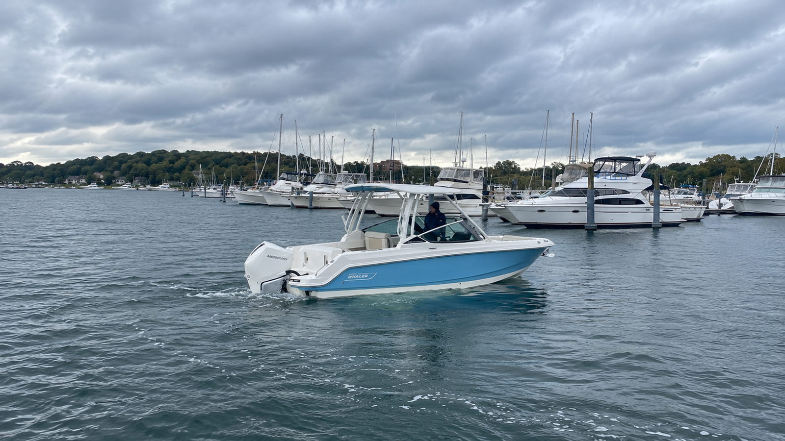 2026 Boston Whaler 240 Vantage 39