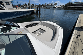2023 Sea Ray SPX 210 Outboard 10