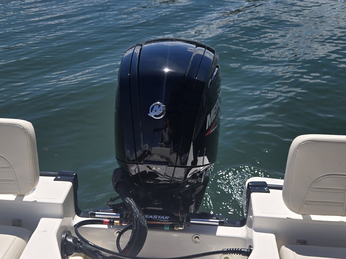 2027 Boston Whaler 170 Montauk 7