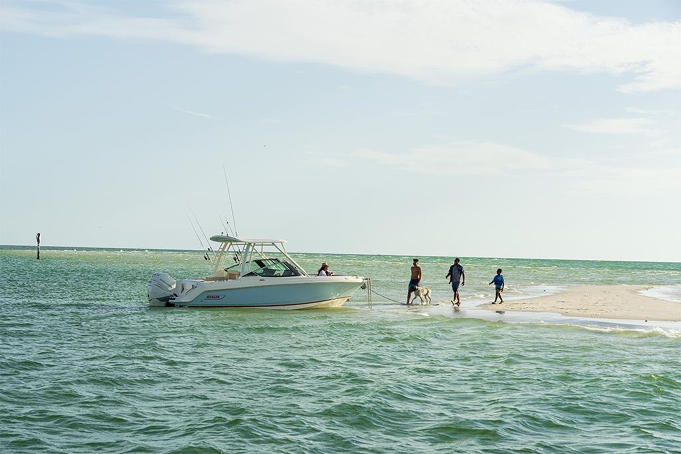 2027 Boston Whaler 240 Vantage 50